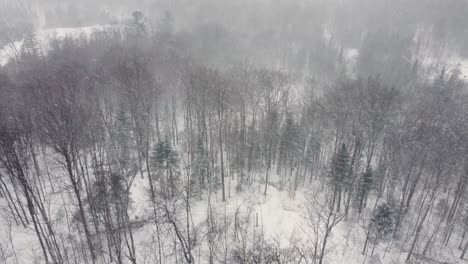 Drohnenflug-Durch-Schneefall-Mit-Blick-Auf-Die-Schneebedeckte-Waldlandschaft