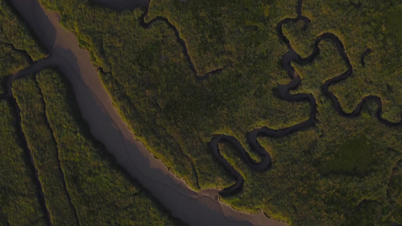 High Topdown Aerial Drone Shot Flying Over Green Salt Marsh in North Norfolk UK