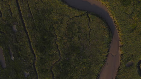 High-Topdown-Aerial-Drone-Shot-Flying-Over-Green-Salt-Marsh-in-North-Norfolk-UK