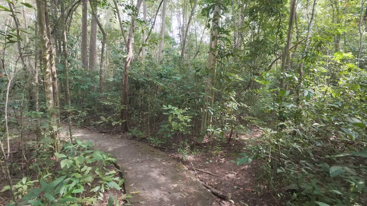 Cat Tien National Park Hiking Trail In Vietnam - POV