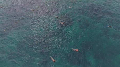 ¡bucear en la bahía de coral: sumérgete en el vibrante mundo submarino!