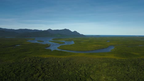 Selva-Tropical-Río-Seymour-En-El-Parque-Nacional-De-La-Isla-Hinchinbrook,-Australia