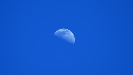 first quarter moon seen in the morning blue sky