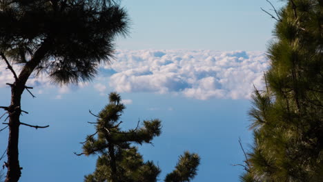 timelapse of clouds above forest in la palma, canary islands