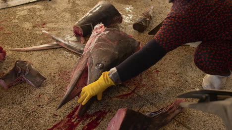 closeup shot of a woman cutting big dog salmon at tho quang fishing port, vietnam