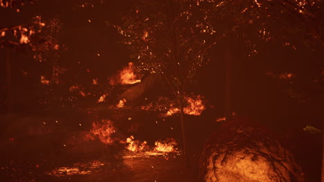 large flames of forest fire at night