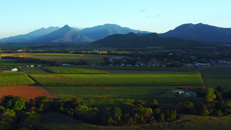 scenic nature landscape in cairns, queensland, australia during summer - aerial drone shot