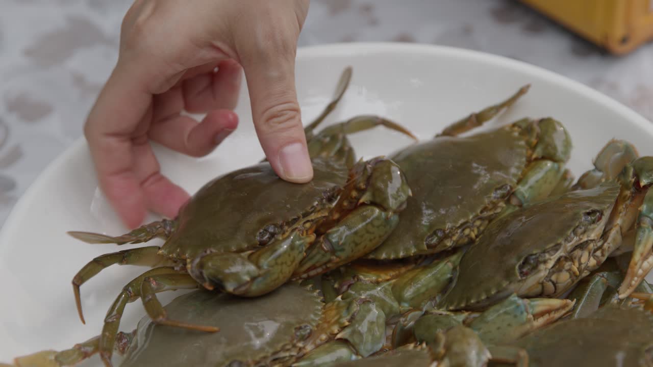 la mano saca un pequeño cangrejo de río del plato con varios cangrejos para cocinar