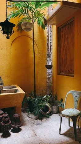 charming yellow courtyard with tropical plants and decorative accents