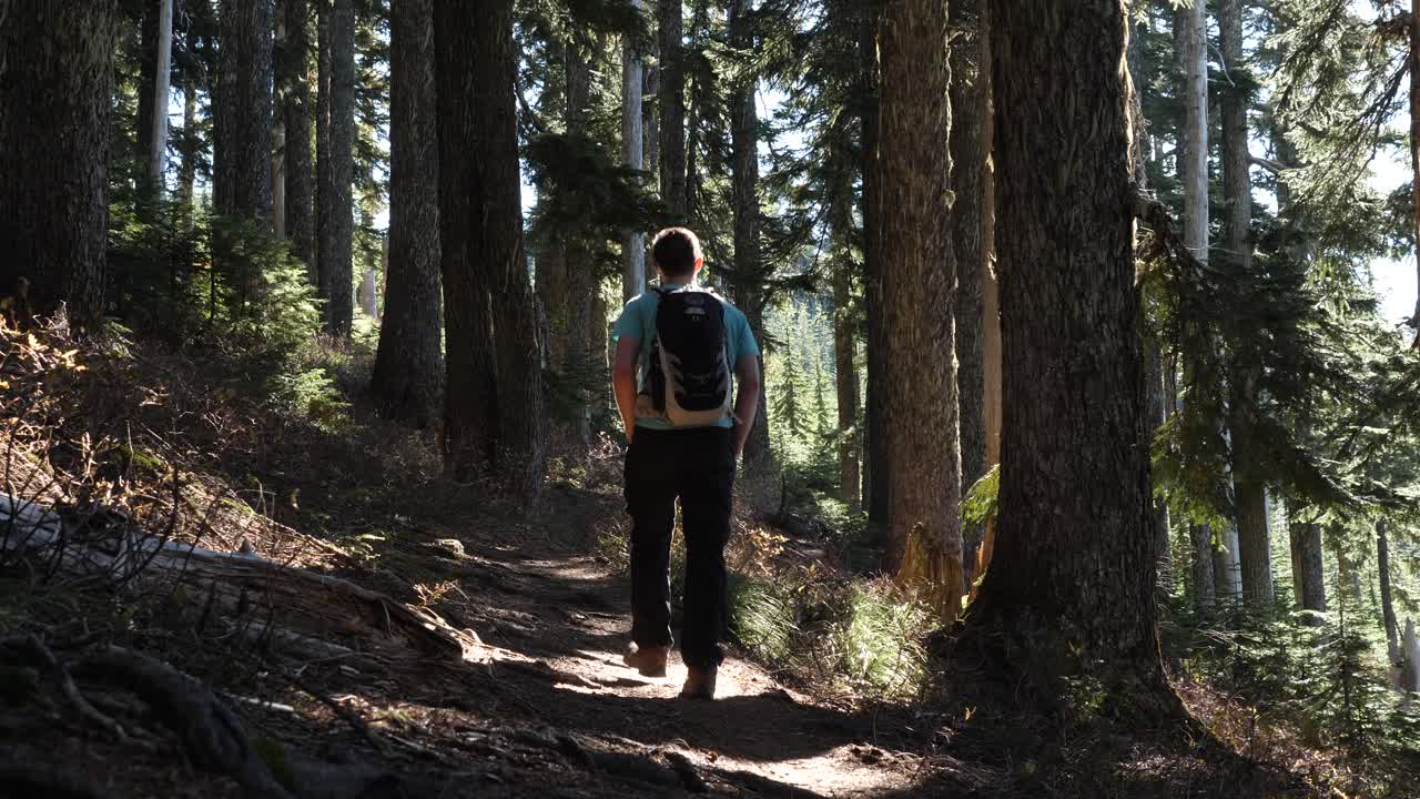 joven varón solo caminando por un hermoso bosque