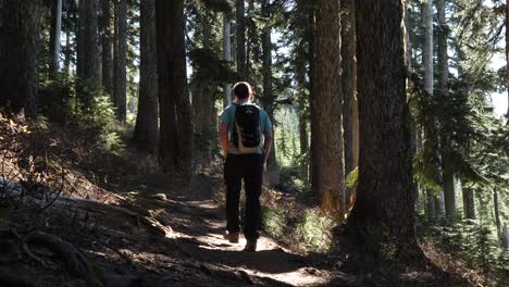 Young-male-solo-hiking-through-a-beautiful-forest