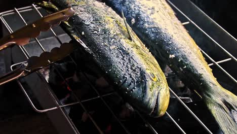 close up to a fish inihaw or sinugba, an authentic traditional filipino dish in the philippines being checked on a charcoal grill with a tong