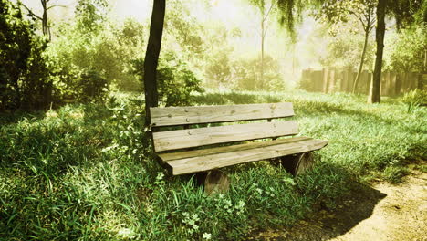 banco de madera en un parque verde tranquilo durante una mañana soleada