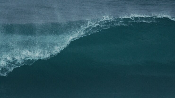 Moody ocean wave rolls cleanly with smooth dark face and foamy lip detail