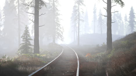 El-Ferrocarril-Vacío-Atraviesa-Un-Bosque-Nublado-Por-La-Mañana