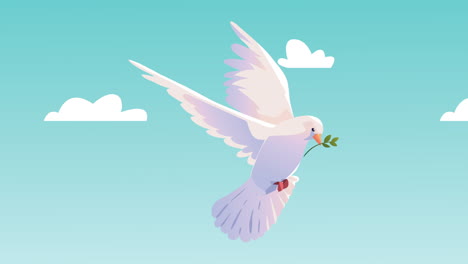 dove bird flying in the sky animation