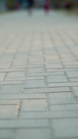 una toma serena de un camino pavimentado del parque con un enfoque en el suelo, mostrando el intrincado patrón de los ladrillos de piedra. el fondo está artísticamente borroso, creando un efecto suave y fuera de foco