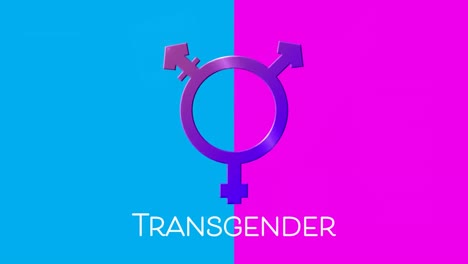 transgender text and symbol on pink and blue background