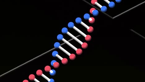 Digital-animation-of-dna-structure-spinning-against-white-lines-on-black-background