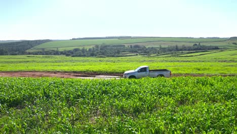 camión blanco en una carretera de tierra