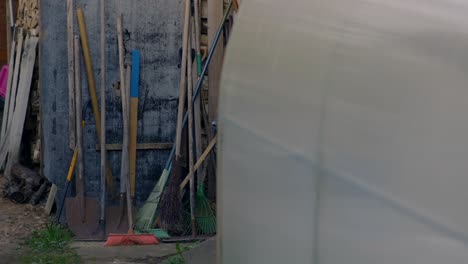 collection of various garden tools, including rakes, shovels, and brooms, neatly propped up against wall beside greenhouse. this scene evokes rustic simplicity of gardening and outdoor maintenance.
