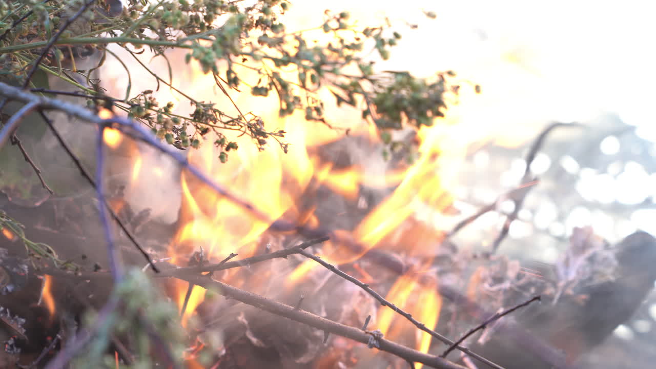 4k 클립, 죽은 나무를 태우는 남자