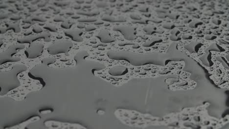 close-up footage of water drops on black background