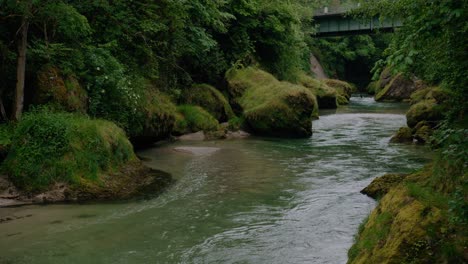 Kleiner-Bach-In-Einem-Engen-Tal-Mit-Bäumen-Auf-Beiden-Seiten-Und-Einer-Kleinen-Brücke-Im-Hintergrund,-über-Die-Autos-In-Der-Erlaufschlucht-In-Österreich-Fahren