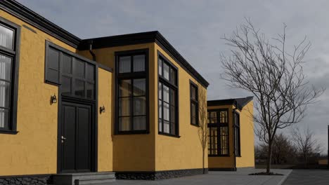 modern yellow building featuring bold black window frames, complemented by a bare tree in the foreground, creating a striking contrast against a clear daytime sky
