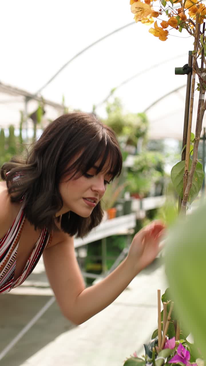 Gardener examining plants in greenhouse. Vertical