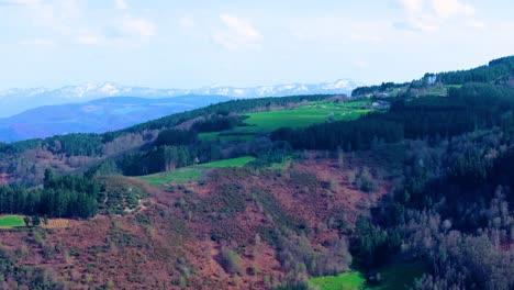 Vista-Aérea-Del-Denso-Bosque-En-La-Montaña-En-Fonsagrada,-Lugo,-Galicia,-España