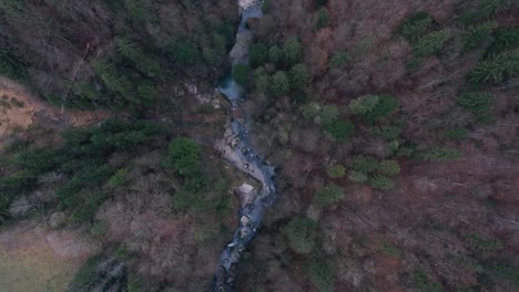 Vista-De-Arriba-Hacia-Abajo-De-Drones-De-Un-Desfiladero-De-Río-Que-Fluye-A-Través-De-Un-Paisaje-Alpino-De-Bosque-Brumoso-En-Un-Día-De-Invierno-Brumoso