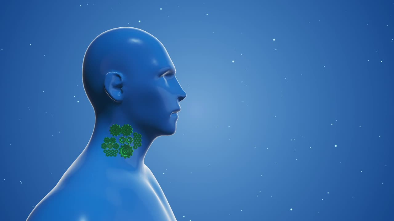 Lymph Nodes Illustration