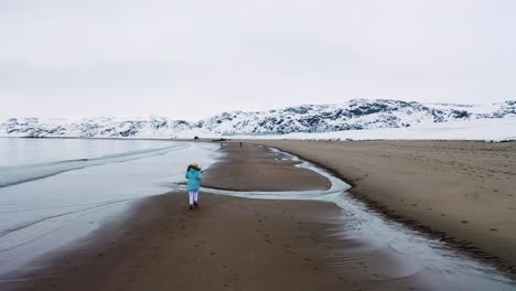 arctic winter beach scene with person