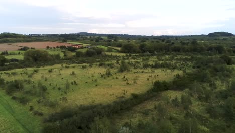lush green park tree skyline horizon aerial view panning right high across grassland