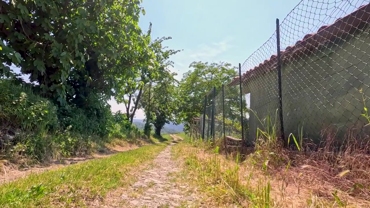 Una telecamera a bassa angolazione avanza lungo un sentiero sterrato tra alberi rigogliosi e recinzioni di filo metallico