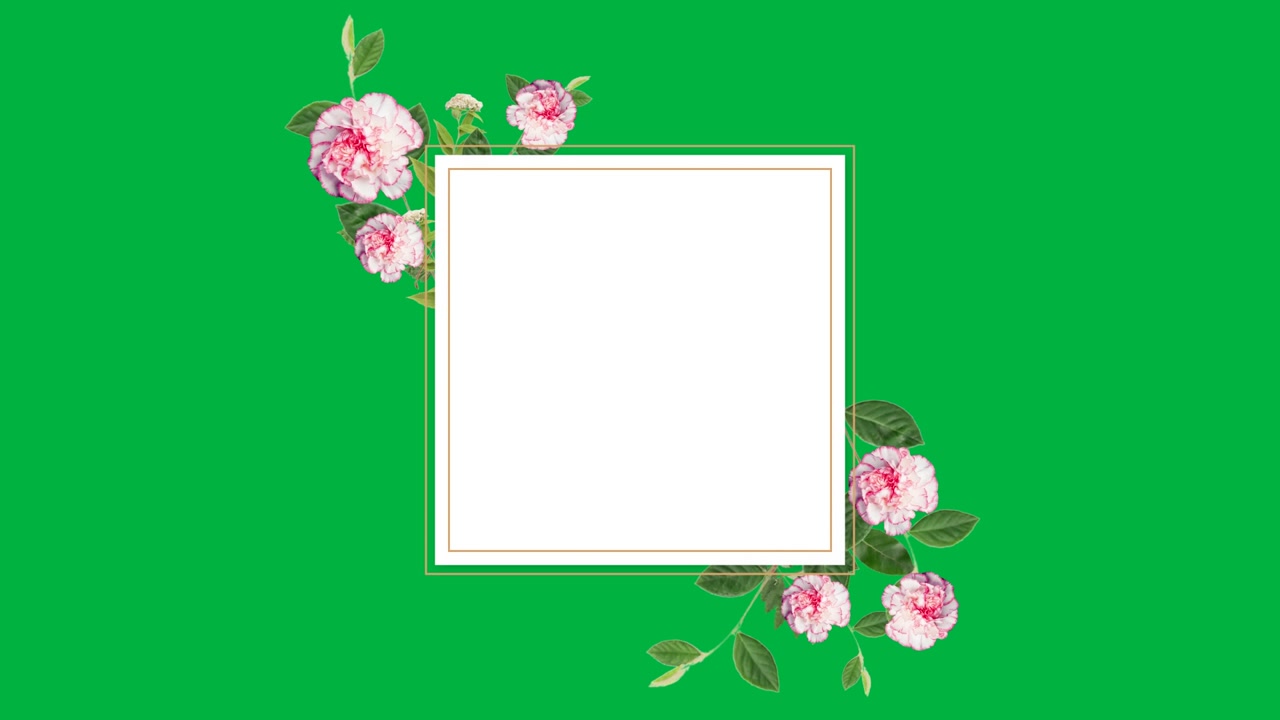 Transparent canvas starting, floral frame appearing, growing, flowers sliding, shrinking for card