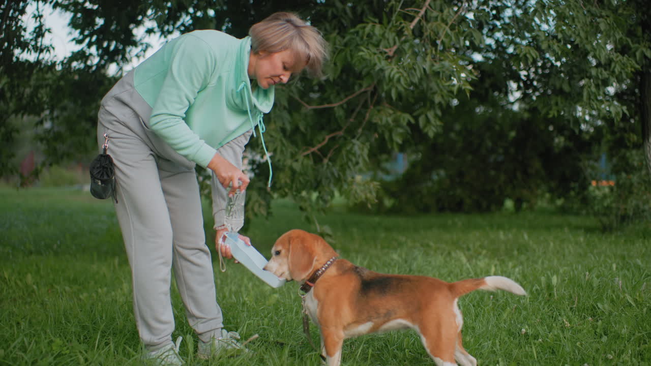 Canine specialist feeding beagle dog with fresh water in garden using portable water bottle during outdoor session under leafy tree canopy, showcasing pet care, and responsible dog ownership