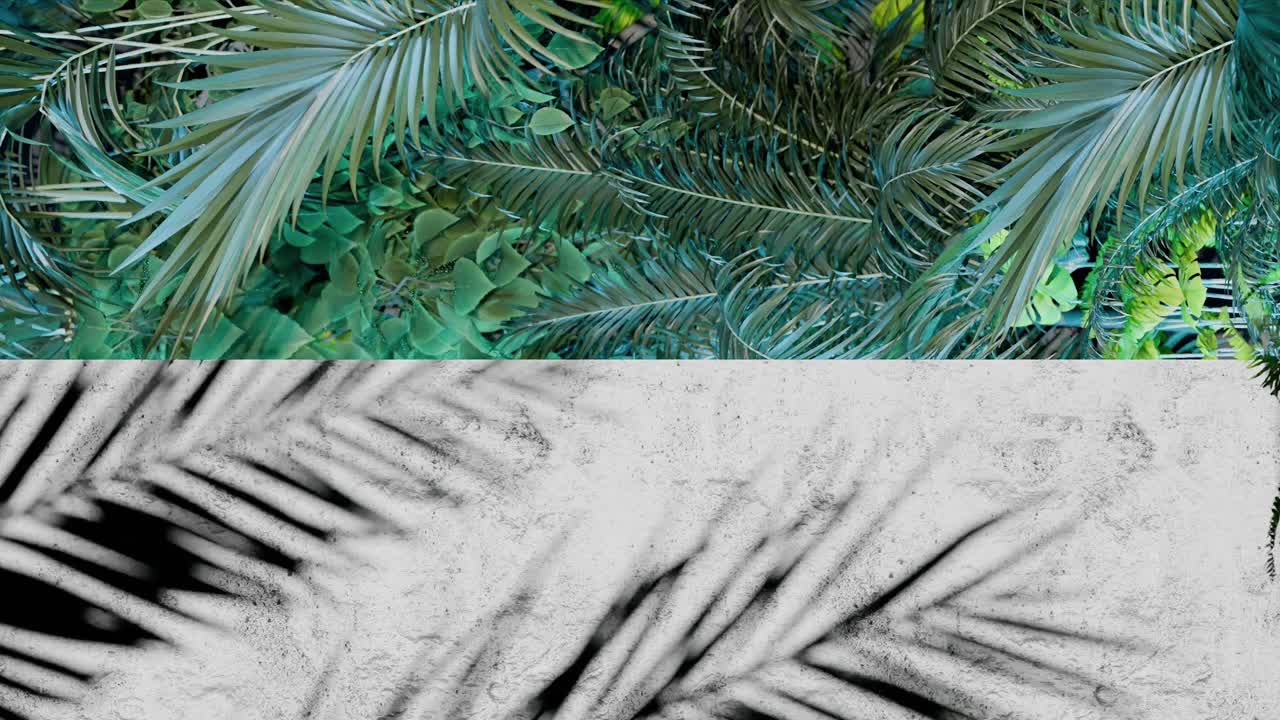 A Shadow of tropical palm leaves on white concrete wall with green jungle foliage frame. Nature inspired template background. Summer vacation and exotic botanical concept. Design for banner. vertical