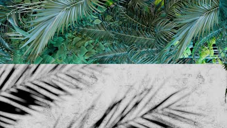 a shadow of tropical palm leaves on white concrete wall with green jungle foliage frame. nature inspired template background. summer vacation and exotic botanical concept. design for banner. vertical