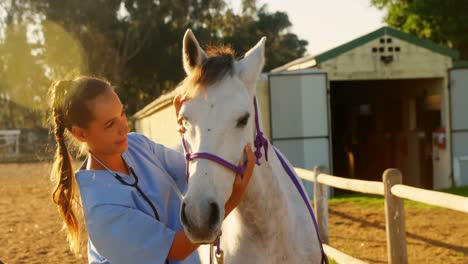 veterinarian doctor checking the horse 4k