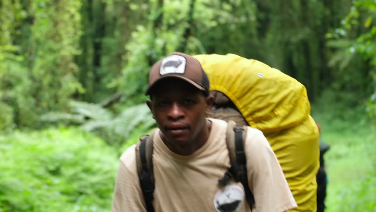 A hiker with a large backpack walks through the rainforest to climb Kilimanjaro.