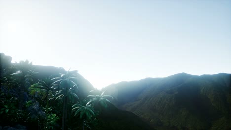 Mountain-and-Field-Landscape-with-Palms