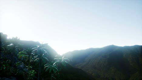 mountain and field landscape with palms