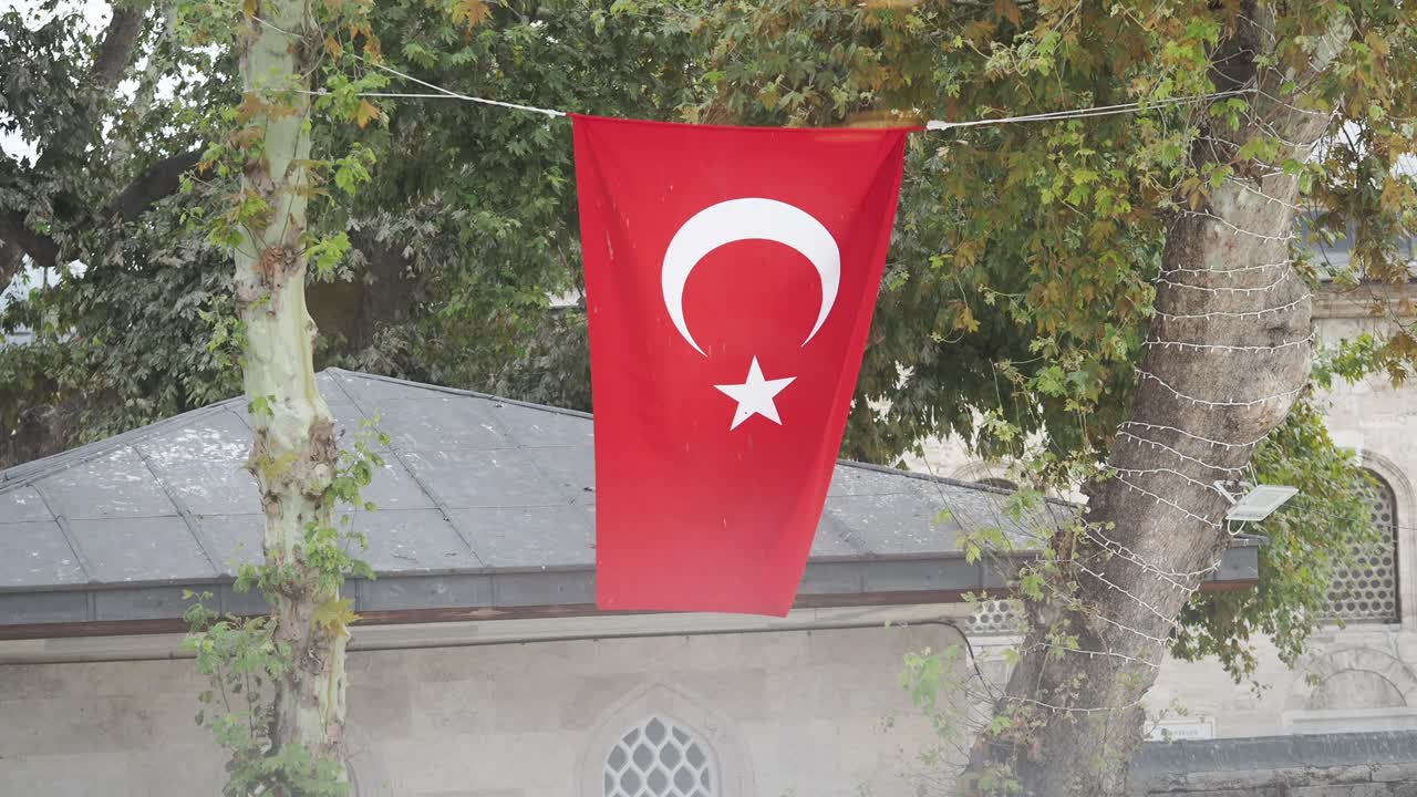 Turkish Flag Hanging Between Trees