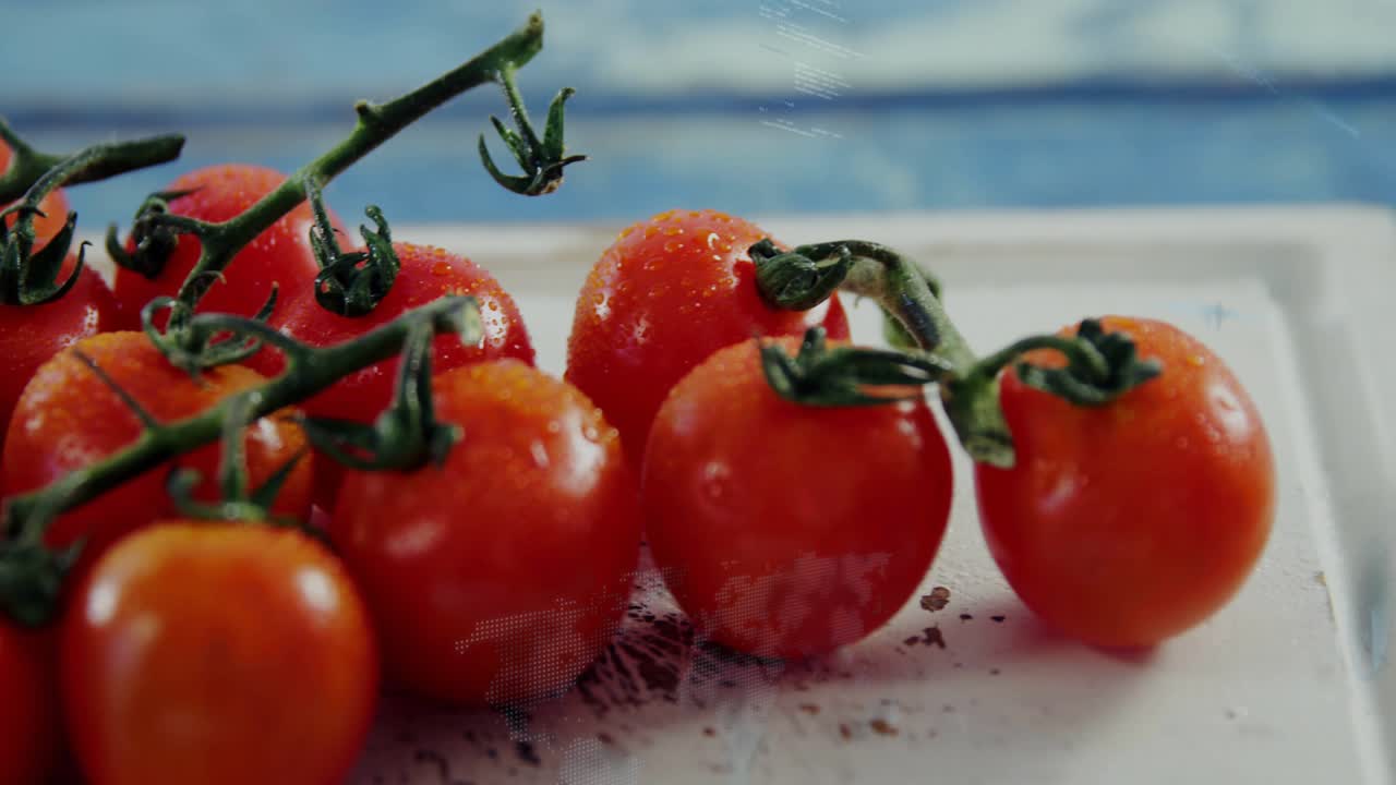 Play starting, cherry tomatoes on vine moving while camera shifting, revealing droplets for styling