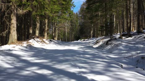 Snowy-road-in-Mt.-Durmitor-in-Montenegro-Europe