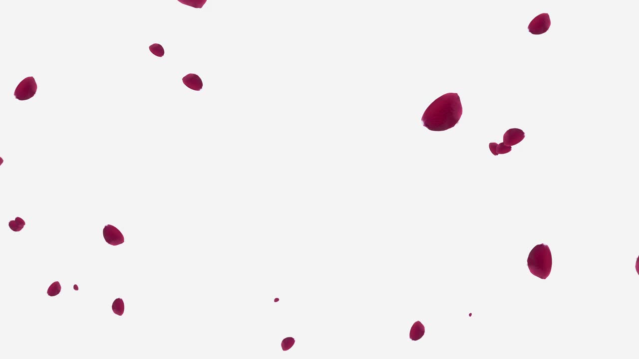 떨어지는 장미 잎자루