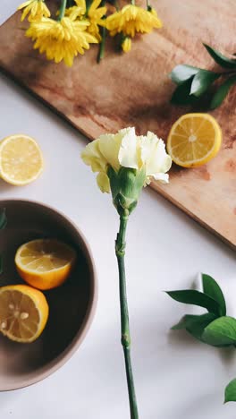 yellow carnation and lemons still life