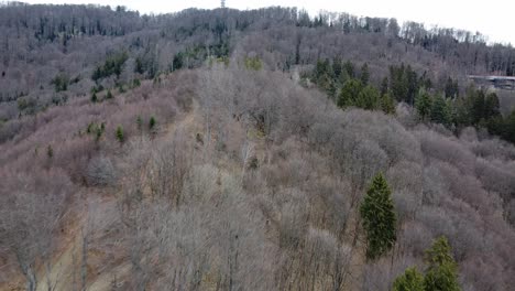 Aerial-view-above-the-forest-hills-in-Zagreb,-Croatia